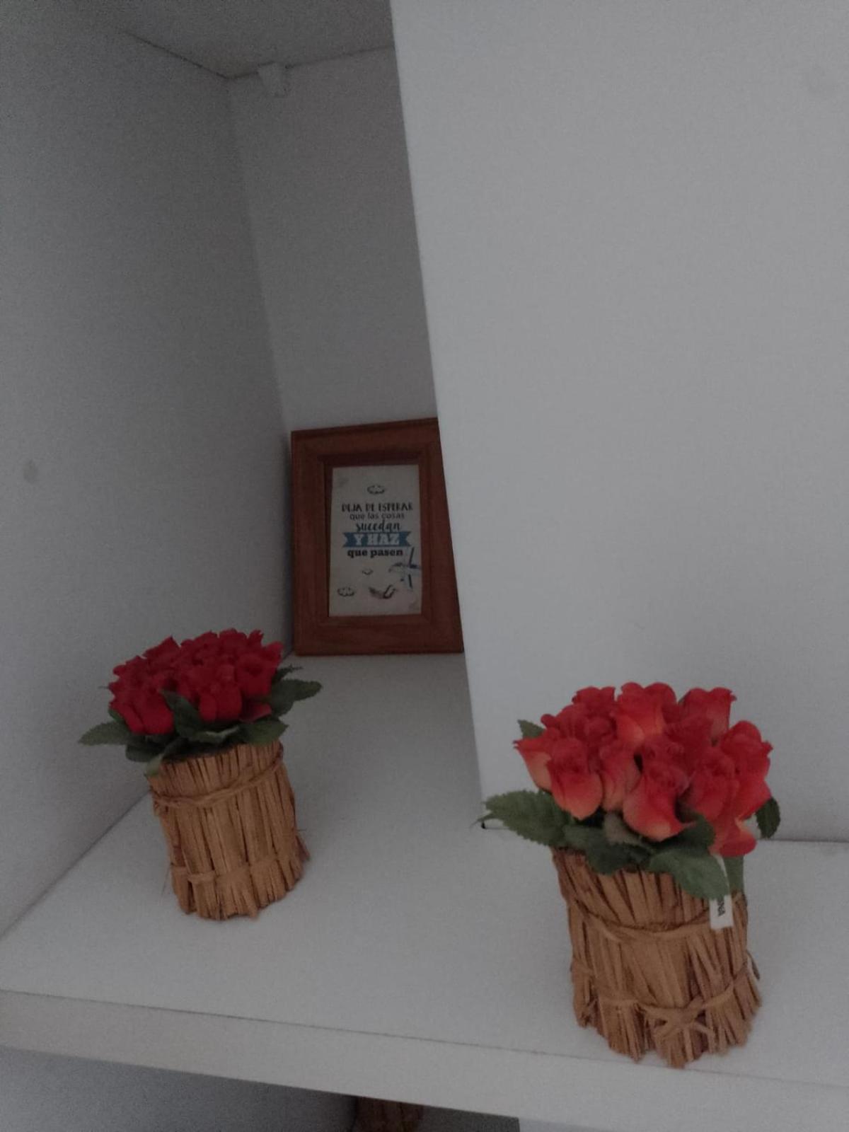Relax En Palermo Con Gran Balcon Y Wifi 300Mb Buenos Aires Eksteriør bilde